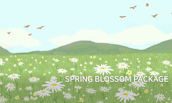 SPRING BLOSSOM PACKAGE 썸네일 이미지