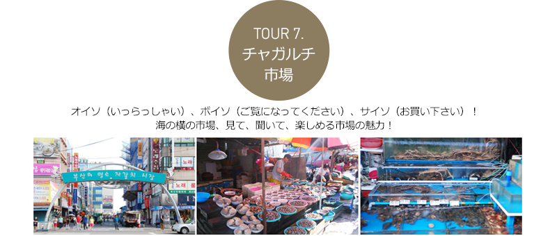 Ｔｏｕｒ７．チャガルチ市場 - -	オイソ（いっらっしゃい）、ボイソ（ご覧になってください）、サイソ（お買い下さい）！海の横の市場、見て、聞いて、楽しめる市場の魅力！