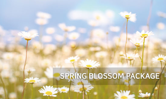 SPRING BLOSSOM PACKAGE 썸네일 이미지