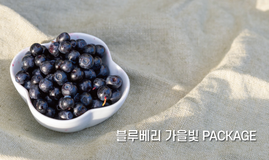블루베리 가을빛 PACKAGE 썸네일 이미지