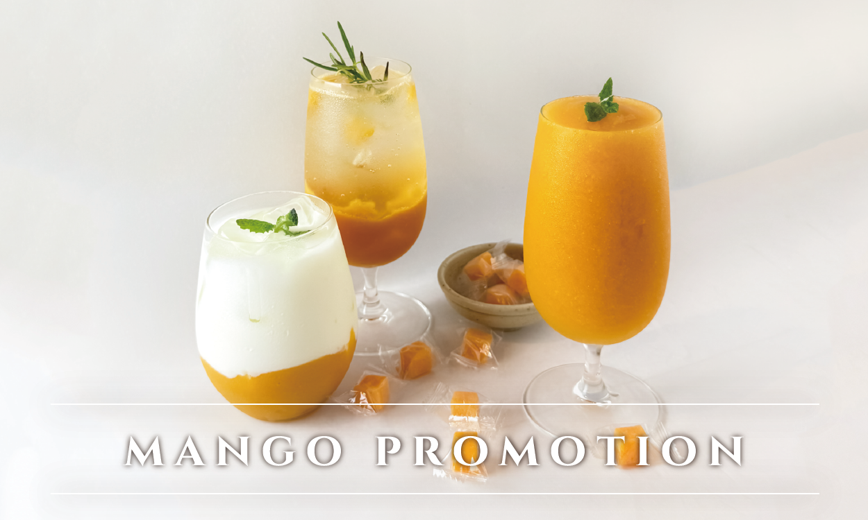 COMO1979 망고 PROMOTION 썸네일 이미지